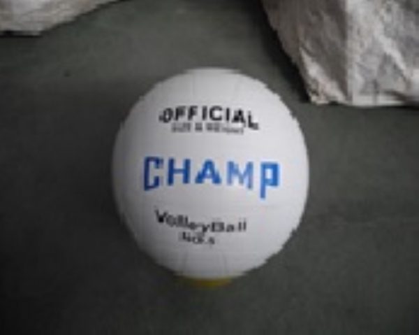 CHAMP PELOTA VOLLEYBALL #5