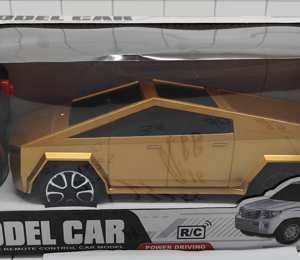 CARRO TESLA A CONTROL