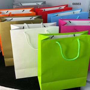 BOLSA DE REGALO LISA 26X32X12CM