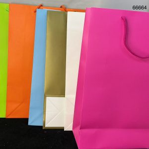 BOLSA DE REGALO LISA 31X42X12CM