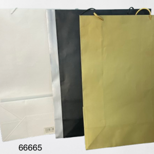 BOLSA DE REGALO LISA 40X56X18CM