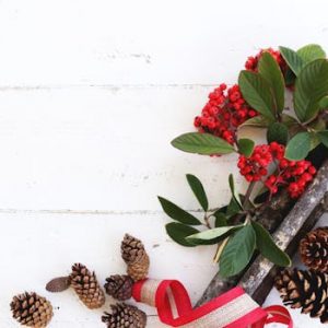 NAVIDAD