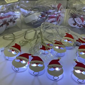 SET LUZ LED NAVIDAD C/DISEÑO 10/1 3MTS