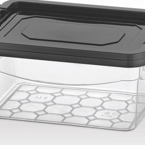 BAGER CAJA PLAST ORGANIZADORA 2LT