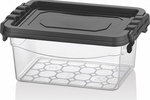 BAGER CAJA PLAST ORGANIZADORA 2LT