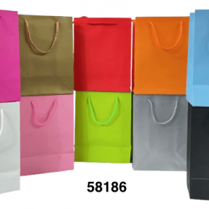 BOLSA DE PAPEL P/REGALO LISA 18X23X10CM