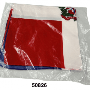 PAÑUELO BANDERA DOM 55X55CM