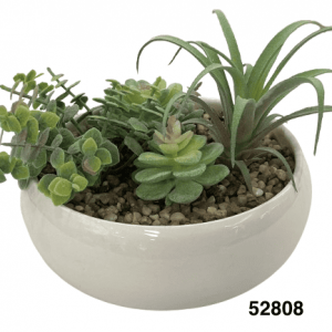 BONSAI SUCULENTAS 16X12CM