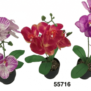 BONSAI ORQUIDEAS 36CM