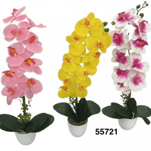 BONSAI ORQUIDEAS 26CM