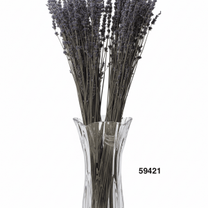 LAVANDA SECA 100GR 55CM