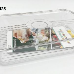 CAJA PS C/TAPA 32X20.5X5.5CM