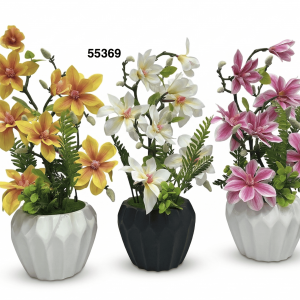 BONSAI ORQUIDEAS 50CM