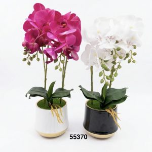 BONSAI ORQUIDEAS 40CM