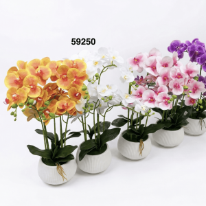 BONSAI ORQUIDEAS 70CM