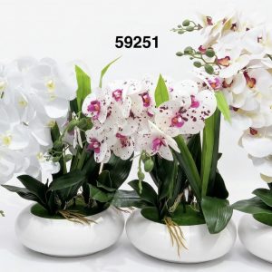 BONSAI ORQUIDEAS 50CM