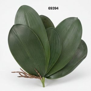 HOJAS ORQUIDEA 6/1 32CM