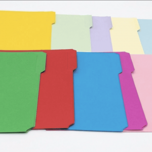 SET FOLDER MANILA 8.5X11CM 10/1