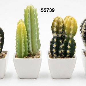 BONSAI CACTUS 6X11CM