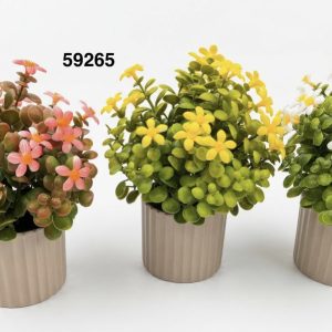 BONSAI MARGARITAS 20CM