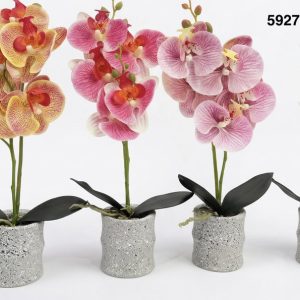 BONSAI ORQUIDEAS 34CM